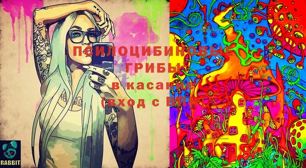 прущая мука Дмитровск