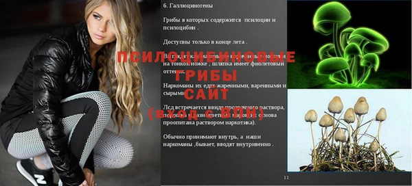 Альфа ПВП Беломорск