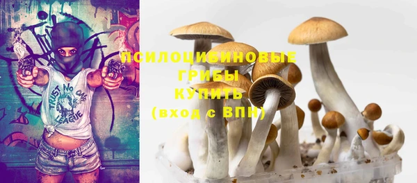 Альфа ПВП Беломорск