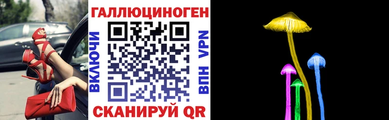 KRAKEN ТОР  Глазов  нарко площадка состав  Галлюциногенные грибы GOLDEN TEACHER 